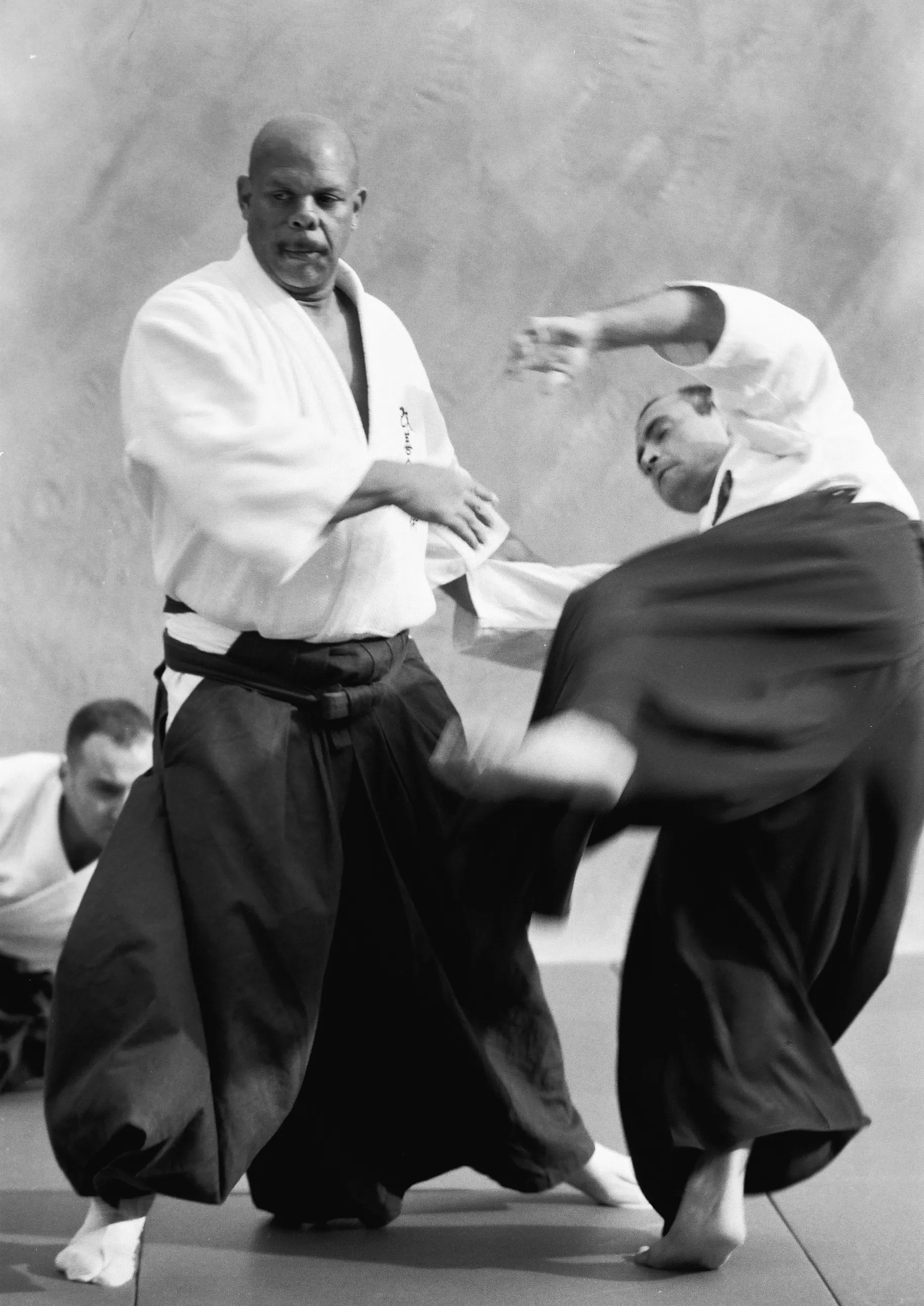 Kaizen Aikijutsu